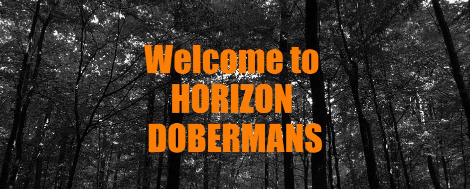 Horizon Dobermans Home