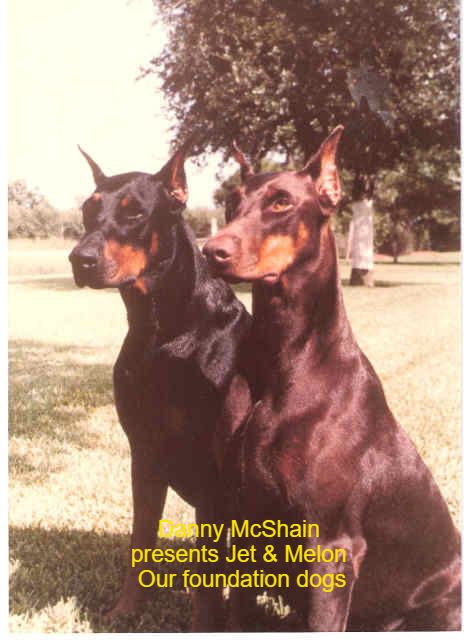 Our Story Horizon Dobermans