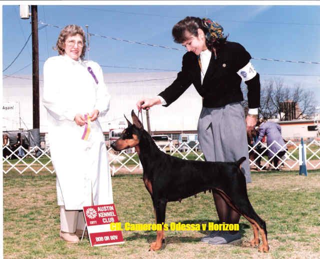 Our Story Horizon Dobermans